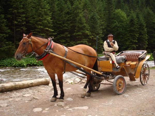 Dolina Kościeliska, Kościelisko