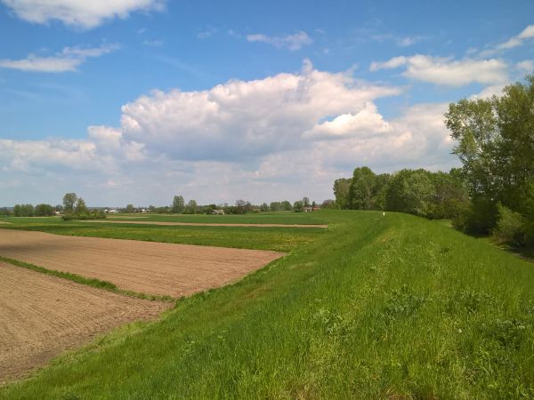 Wisła płynie przez  Pawłów i Brzostków ,tor rzeki wygląda  jak wstążeczka ,tor wyścigowy " Le Mans" .Podobnie wał ochronny  układa się jak Wisła.