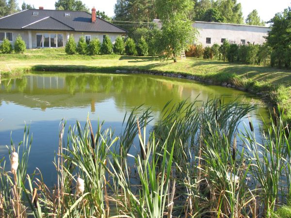 zdjecie Łąg-Kolonia