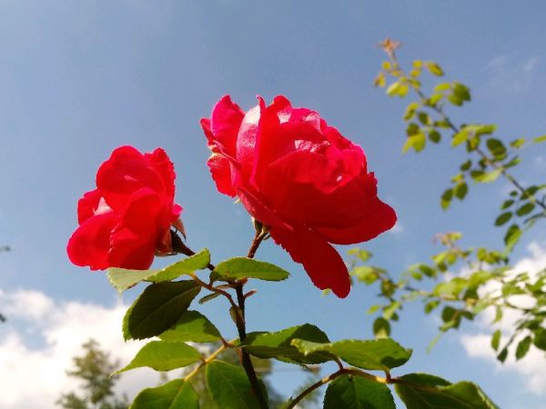 Dla byłych i obecnych Mieszkanek Brzostkowa 😳.