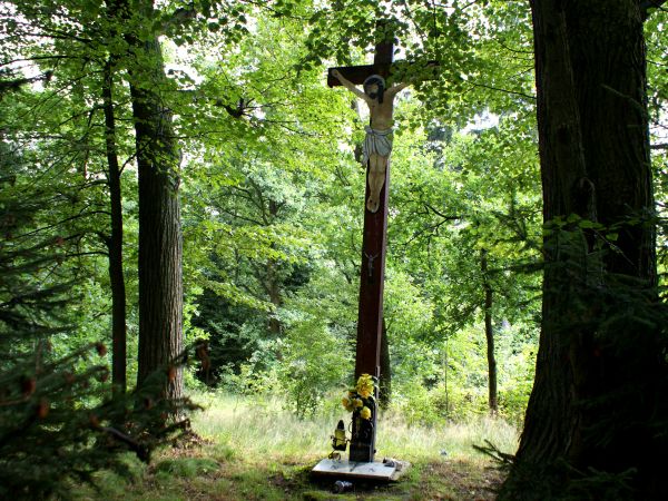 Krzyż w lesie