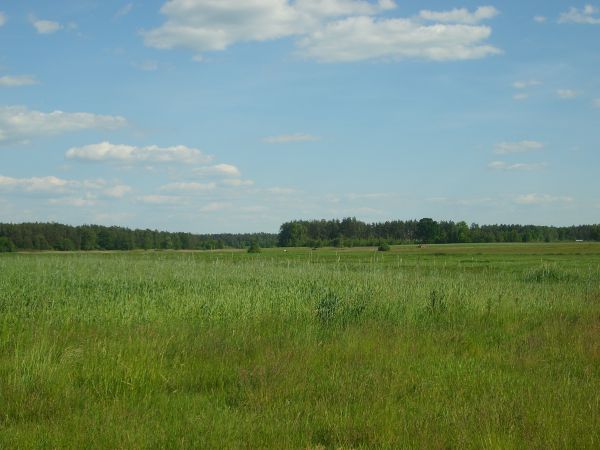 Zdjęcia Bordziłówka