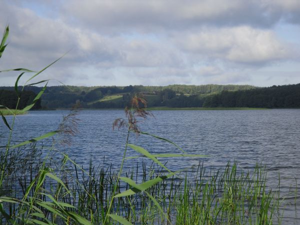zdjecie Krępsk