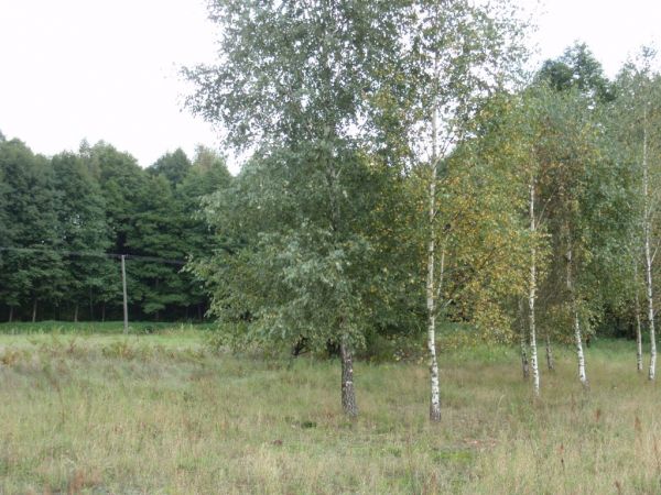 zdjecie Piłatowszczyzna