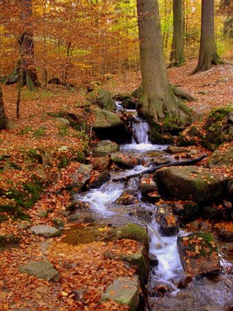 Strumyk w Szklarskiej Porębie