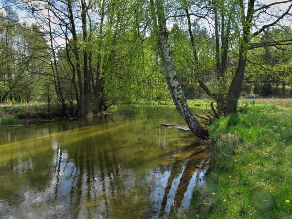 Kanał rzeki Wdy oraz teren nad nim położony