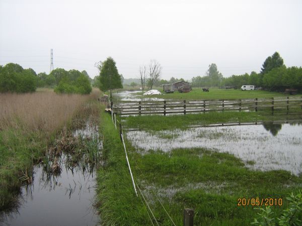 Wyrazów - okoliczne pola
