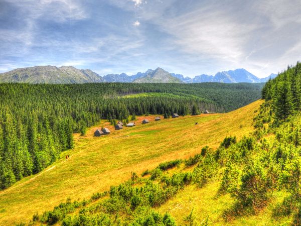 zdjecie Zakopane