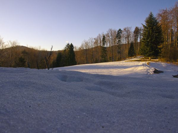 Ostatni bastion zimy-Rytro