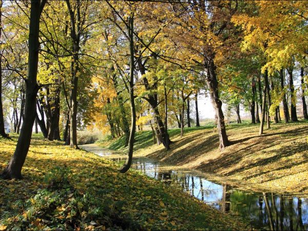 Park w Medyce − pochodzący z drugiej połowy XVI wieku (z reliktami z XIV i XVI wieku).