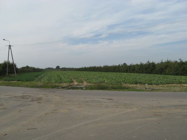 zdjecie Szymanowice Duże