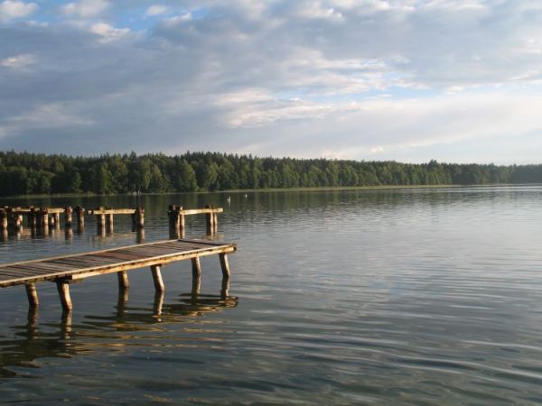 zdjecie Nowa Kaletka