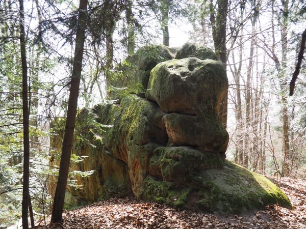 pomnik przyrody nieożywionej - "Mały Kamień", ostaniec piaskowcowy, w Paśmie Granickiej - 575m npm, tu najwyższa kulminacja w tej części Gór Słonnych. Przy tema