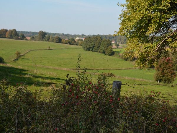 Waplewko od strony Moran -wrzesień 2015.