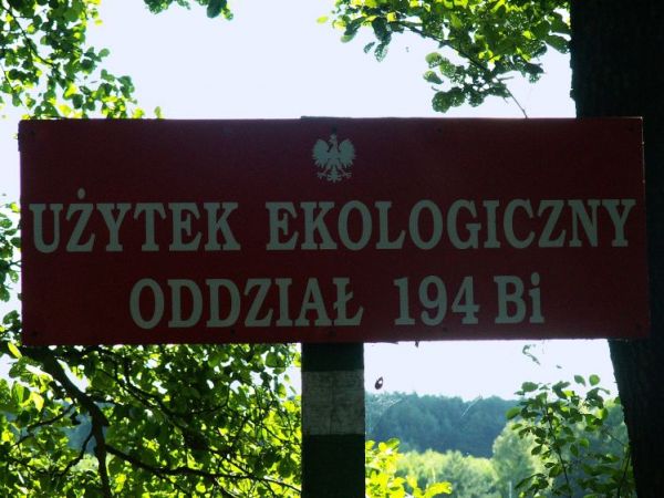 zdjecie Stajenczynki