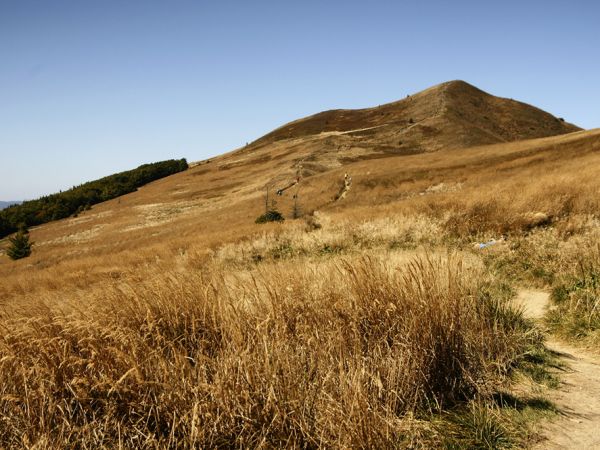 Połonina Caryńska-grzbiet