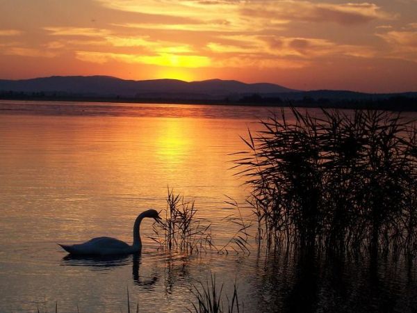 Paczków - zachód słońca nad Zalewem Paczkowskim.