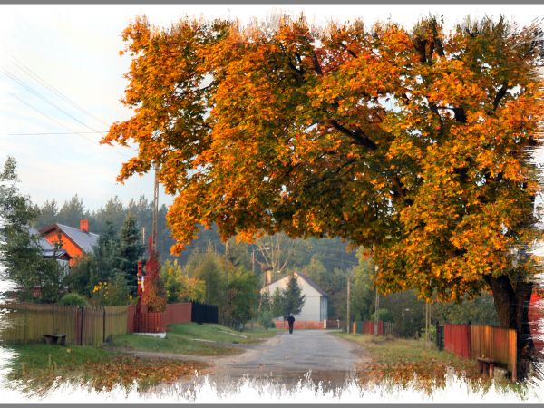 zdjecie Tyniewicze Duże