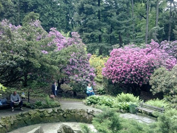 Park zdrojowy czerwiec