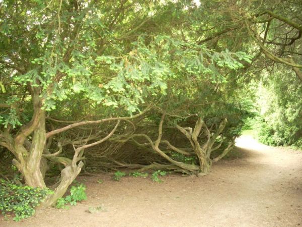 Zamek i park w Krasiczynie