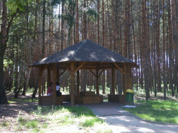 W lasku na osiedlu w Połańcu