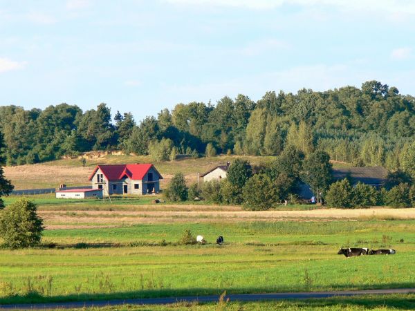 Zdjęcia Kliczków Wielki