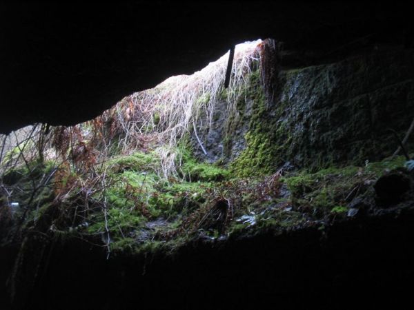 zdjecie Międzyrzecz