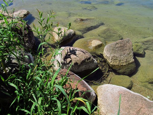Głazy skalne na ujściu kanału Wdy z jeziora w Jeziornej przy plaży gminnej