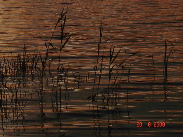 Fot. Ewa Kamila Jabłońska