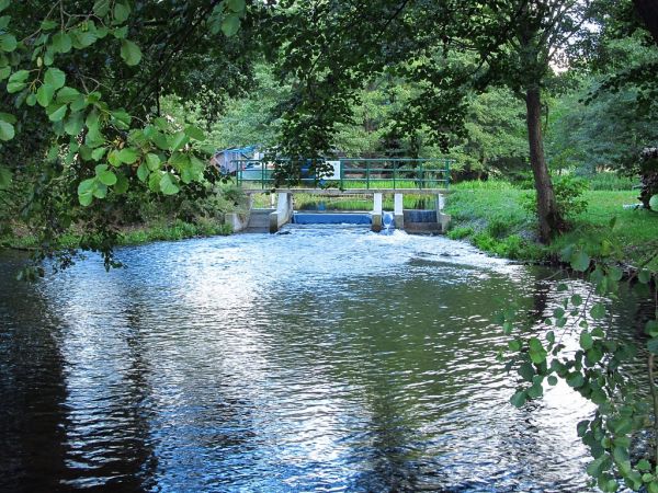 W drodze z Czarnej Wody do Wiecka. Zapora na strudze między jeziorem Wieck a rzeką Wdą