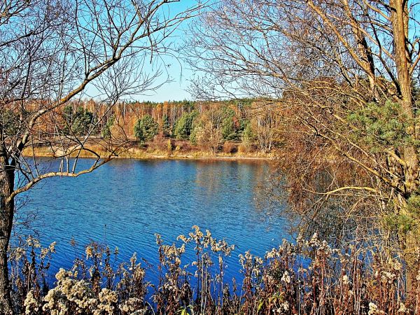 Jezioro w Silnie k/Torunia - listopad 2018 .