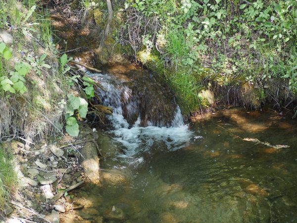 wody strumyka kaskadowo mają ujście w potoku - i stwarzają malownicze widowisko.