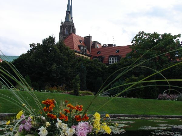 zdjecie Wrocław