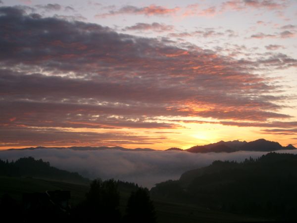 Falsztyn- Jesienny poranek