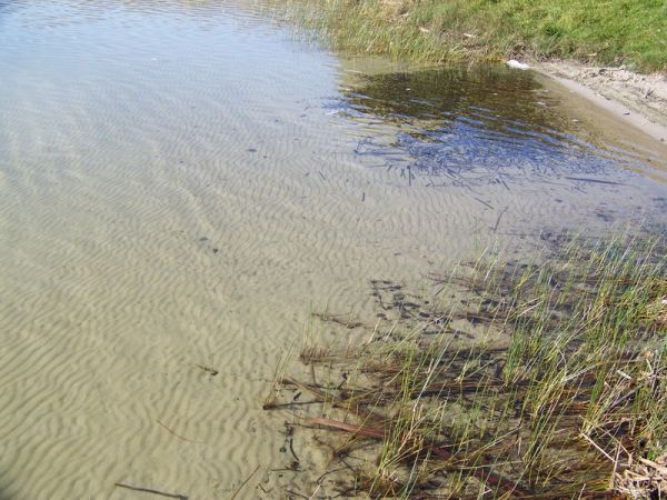 CZYSTA WODA W JEZ.JUCHACZ.