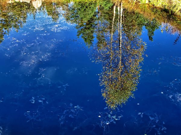 Lustereczko powiedz przecie, czy jest ktoś ładniejszy w świecie?