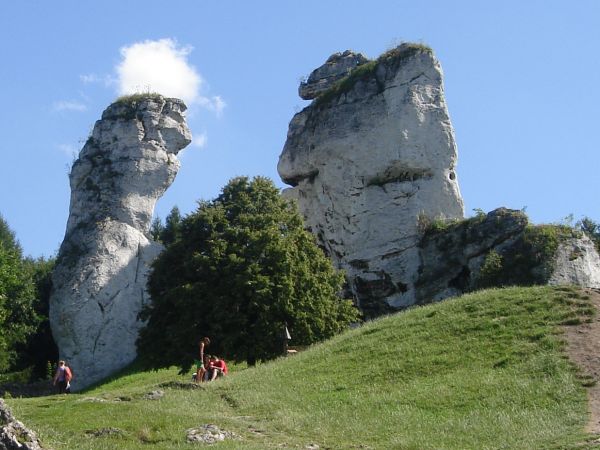 Zamek OGRODZIENIEC **** http://www.zamek-ogrodzieniec.pl/ **** http://zamki.net.pl/zamki/podzamcze/podzamcze.php **** Zamek Ogrodzieniec znajduje się w Podzamcz