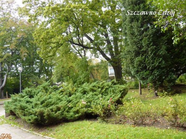 zdjecie Szczawno-Zdrój