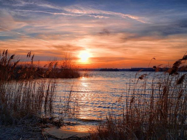 zdjecie Dąbrowa Górnicza