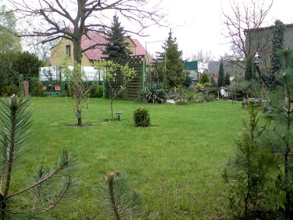 Blisko tartaku  Pana Michalskiego