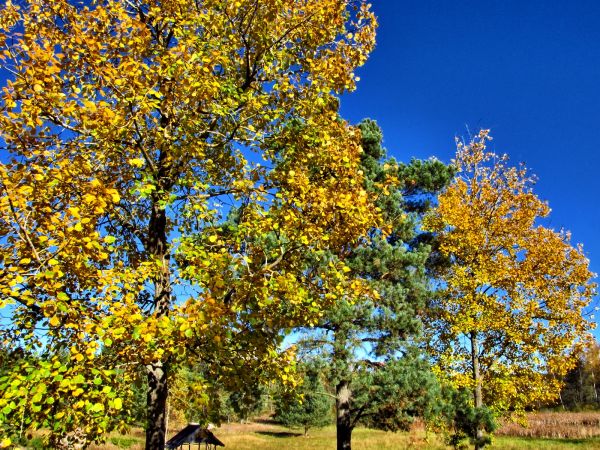 Agroturystyka " U Krystyny" w Lubikach Małych