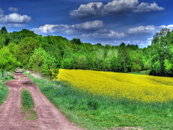 zdjecie Wodzisław Śląski