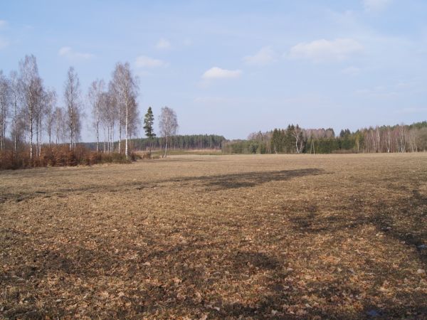 Widok na północ. III 2018