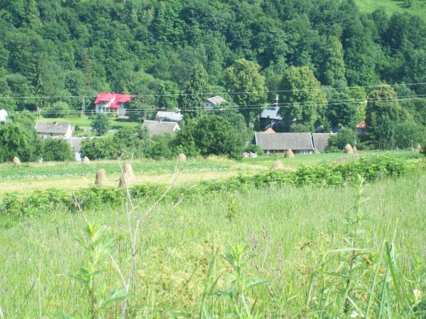 Krzemienna gm. Dydnia