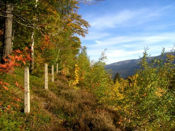 Tuż nad Stacją PKP w Szklarskiej Porębie Górnej. Więcej moich zdjęć na http://picasaweb.google.com/janek.fedorowicz