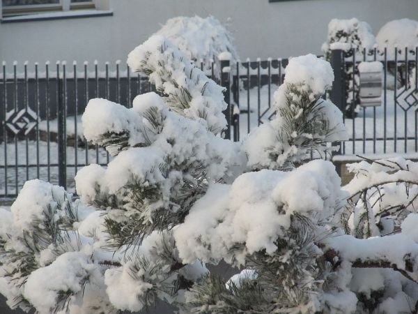 zdjecie Pietrzykowice