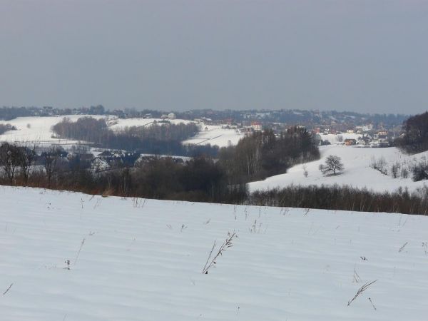 Siepraw - panorama