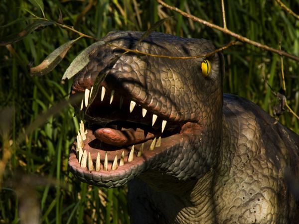 Zator-Park Ruchomych Dinozaurów "DinozatorLand"