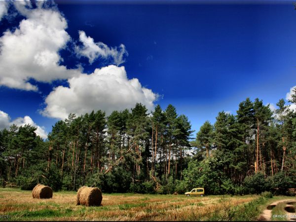 zdjecie Tyniewicze Duże