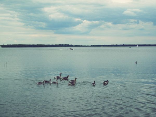 Zajazd "Pod Dębami"